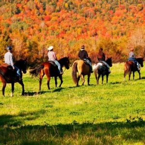 Les Écuries Entre Monts Et Marées