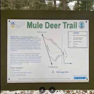 Mule Deer Trail