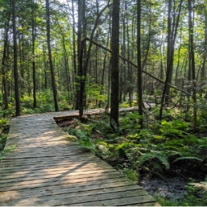 Parc régional des Grèves