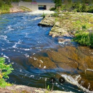 Port Severn Rapids