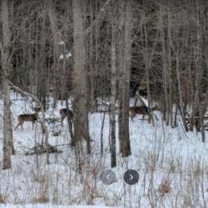 Quackenbush Provincial Park