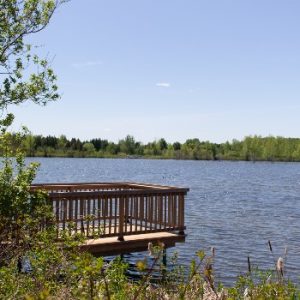Réserve naturelle du Marais-Léon-Provancher