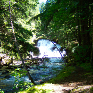 Springer Creek RV Park and Campground