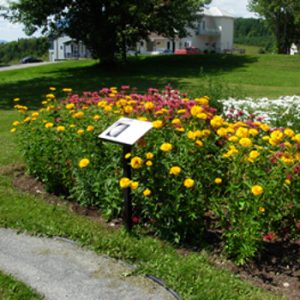 Temiscouata Celestial Gardens