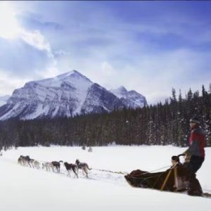 The Great Divide Dogsledding Tour