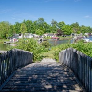 Wildwood by the Severn