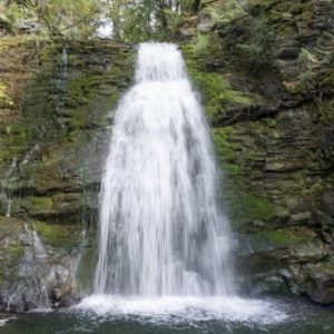 Whitecroft Waterfall