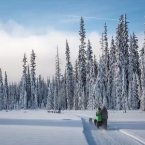 Mountain Man Dog Sled Adventures