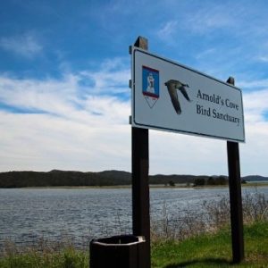 Arnold’s Cove Bird Sanctuary