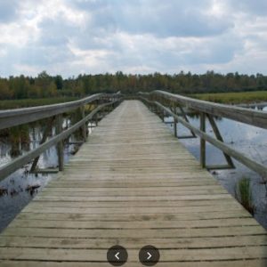 Aspen Beach Provincial Park