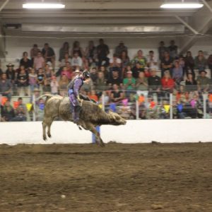 Bentley Fair and Rodeo