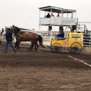 Chuckwagon Races