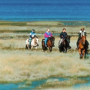 Centre Équestre Des Plateaux