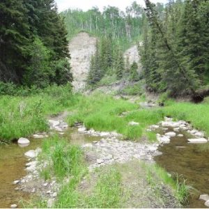 Coates Creek Conservation Area