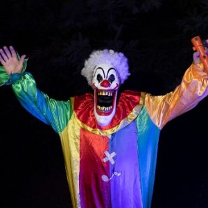 Freddy Angus’ Haunted Forest