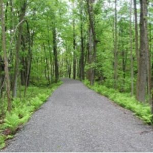 La Cantonnière – sentier de la Rive