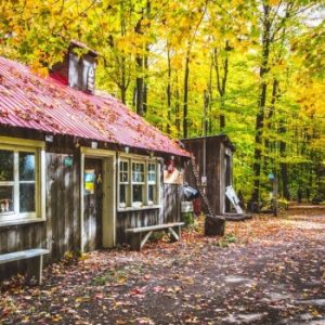 Parc Écologique Godefroy