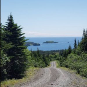 Placentia Bay Look Out