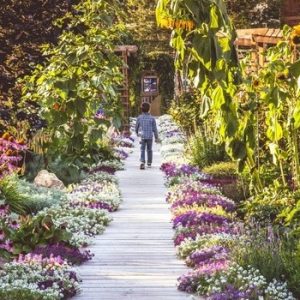Radium Rotary Garden