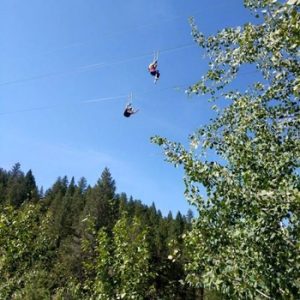 Valley Zipline Adventures