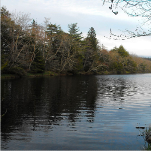 White Lake Wilderness Area