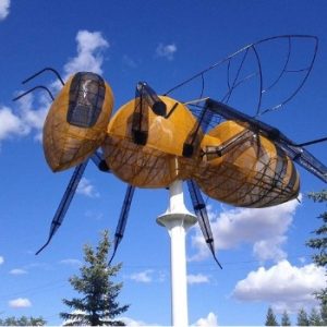 World’s Largest Bee