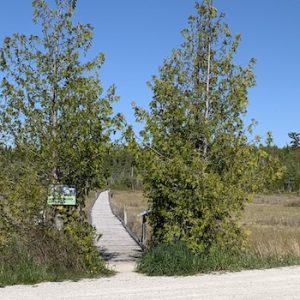 Oliphant Fen Trail