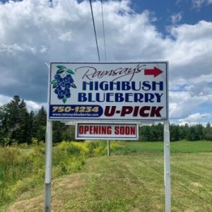Ramsay’s High Bush Blueberries