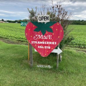 M&E Strawberries