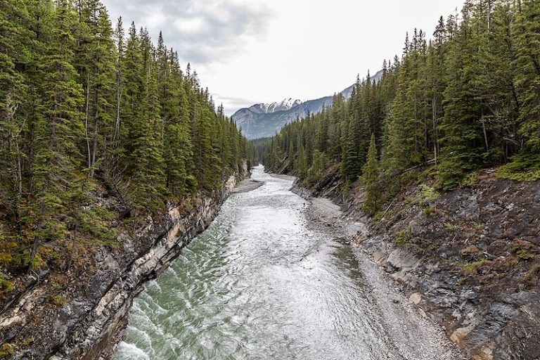 Top 10 Towns to See Wildlife