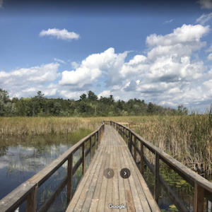 Mshkiigag Wetlands