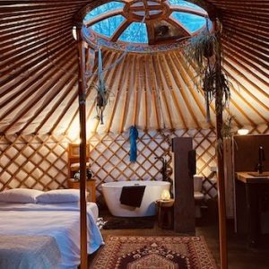 Tall Pines Nature Retreat