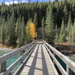 Bow River Loop Trail