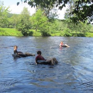 Gaspereau River Tubing