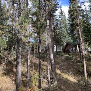 Johnston Canyon Lodge & Bungalows