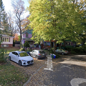 The Painted Ladies of Grimsby
