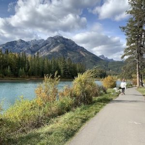Bow River Trail