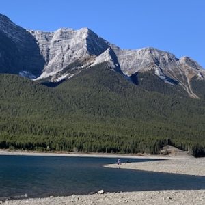 Driftwood Day Use Area