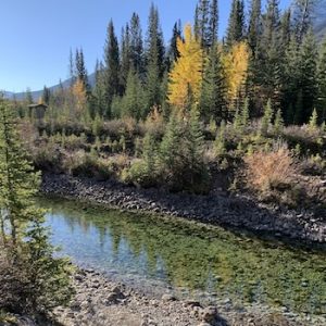 Spray Ranger Station