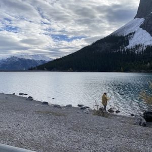 Whiteman’s Pond Viewpoint
