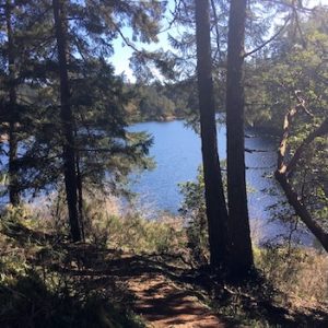 Matheson Lake Regional Park