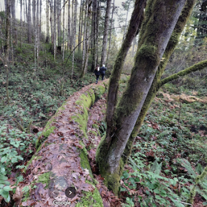 Sooke Flow Pipe Trail