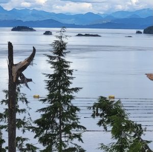 Blinkhorn Peninsula Recreation Site