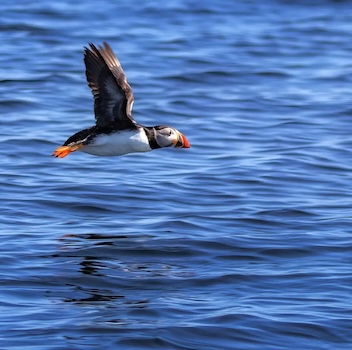 Expedition Nova Scotia