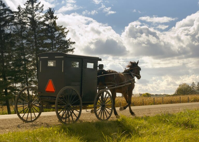 Stratford & Mennonite Country guide