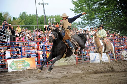 festival_cheval3
